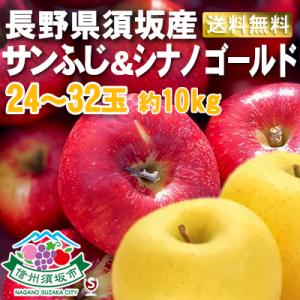 8信州須坂産　サンふじりんご秀＆シナノゴールド　24〜32玉　約10kg｜wineclubsato