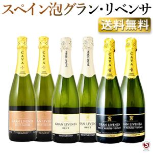 スペイン　カヴァ　ハウメ・セラ　グラン・リベンサ　ブリュット　泡3種各2本入り　6本セット　ハウメセ...