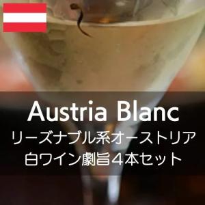 リーズナブル系オーストリア白ワイン得旨4セット【ワインセット】｜wineholic