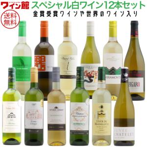 【送料無料】＜第66弾＞スペシャル白ワイン12本セット（白12本） 同梱不可 送料無料 ワインセット 白セット