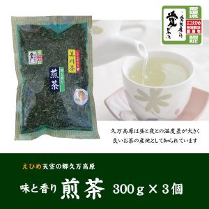 煎茶（300ｇ3個セット）【美川茶】【久万高原町】【宮本製茶】｜winekatayama