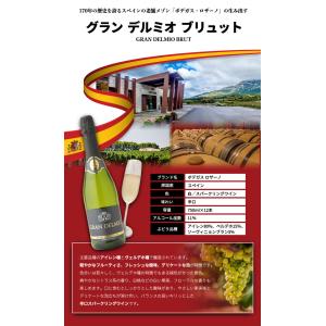 スパークリング ワイン グランデルミオ 750...の詳細画像2
