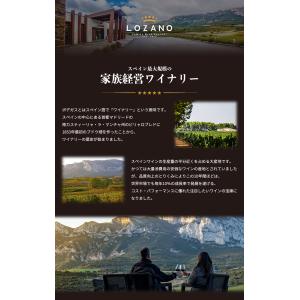 スパークリング ワイン グランデルミオ 750...の詳細画像4