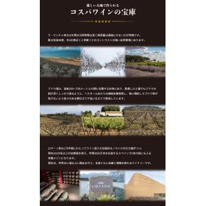 スパークリング ワイン グランデルミオ 750...の詳細画像5