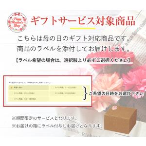 デュヴァリコフーガ 赤 3L 4個セット 送料...の詳細画像5