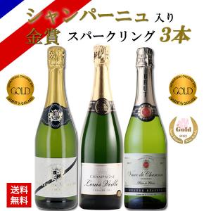シャンパン入り 金賞受賞 スパークリングワイン ３本セット 送料無料｜wineplaza-yunoki