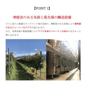 敬老の日 ギフト ワイン おつまみ 2026 ...の詳細画像4
