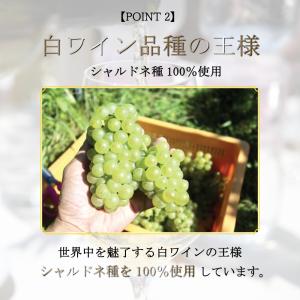 敬老の日 ギフト ワイン おつまみ 2026 ...の詳細画像5
