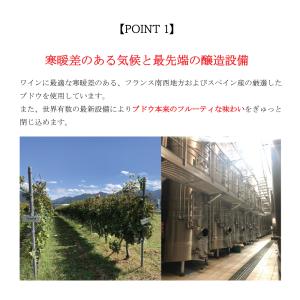 敬老の日 ギフト ワイン おつまみ 2026 ...の詳細画像4