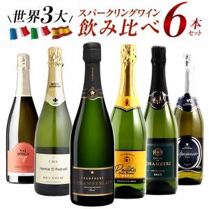 世界 の スパークリング ワイン ハーフ ボトル 6本セット Ver.8 辛口