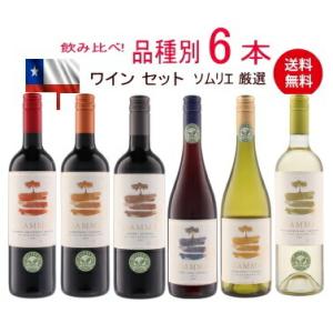 6品種   ■送料無料■ソムリエ試験に最適 品種別飲み比べ フルボトル ワイン6本セット
