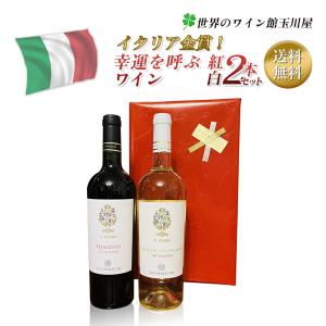 ワインプレゼント送料無料 金賞入り!イタリア 赤白ワインセット｜winetamagawaya