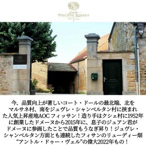 フィサン ルージュ アントル ドゥー ヴェル ...の詳細画像1