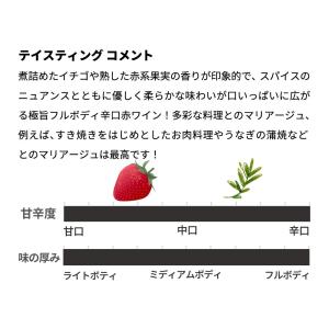 ロシュ マゼ メルロー 2024 カステル社(...の詳細画像4