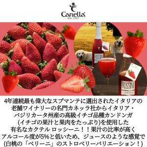 カネッラ ロッシーニ カンドンガ (フルーツス...の詳細画像2