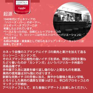 カネッラ ロッシーニ カンドンガ (フルーツス...の詳細画像4