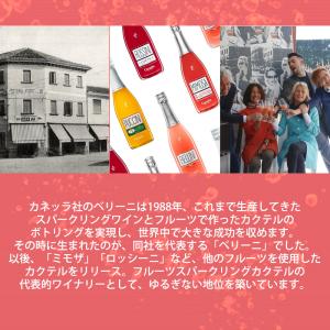 カネッラ ロッシーニ カンドンガ (フルーツス...の詳細画像5