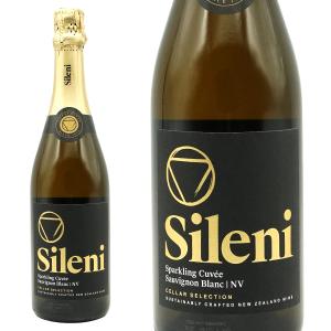 ダブルマグナム 化粧箱入 バルディビエソ ブリュット [NV] 3000ml