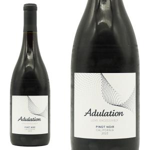 ドラピエ グラン サンドレ 2009 Drappier Grande Sendree フランス