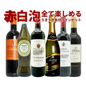 ワインセット  極上の味わい＆価格に超自信あり！毎日の食卓に！赤・白・泡が全て入ったうきうき気分6本ワインセット！  （送料無料）  家飲み