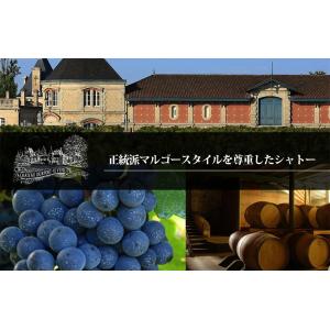 レ プラント ド デュルフォール ヴィヴァン ...の詳細画像2