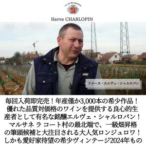 マルサネ レ ロンジュロワ 2024 オーク樽...の詳細画像4