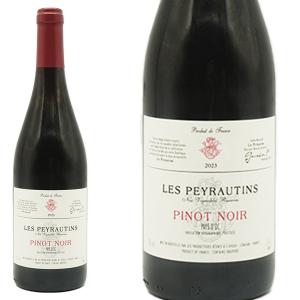 ヴァイン・イン・フレイム ピノ・ノワール 2023年 ブドゥレアスカ