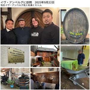 アルザス ピノ グリ ナチュール オレンジワイ...の詳細画像4