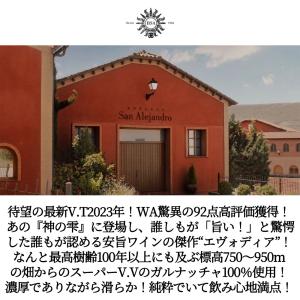 エヴォディア 2023 D.Oカラタユド アル...の詳細画像4