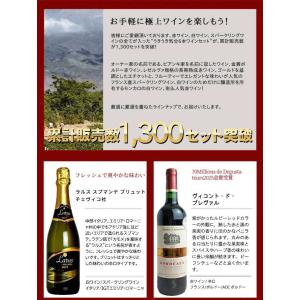 ワインセット 極上の味わい&価格に超自信あり!...の詳細画像1