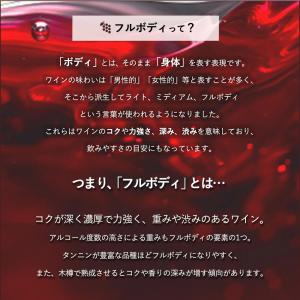 【送料無料】 ワインセット うきうき厳選 驚異...の詳細画像3