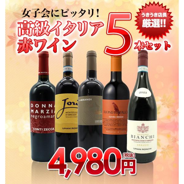 女子会にピッタリ！うきうき店長厳選！高級イタリア赤ワイン5本セット！ ワインセット