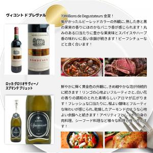 【送料無料】高級ボルドー金賞入 赤ワイン 白ワ...の詳細画像5