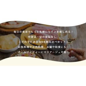 【送料無料】金賞ボルドーもはいった 赤ワイン&...の詳細画像2