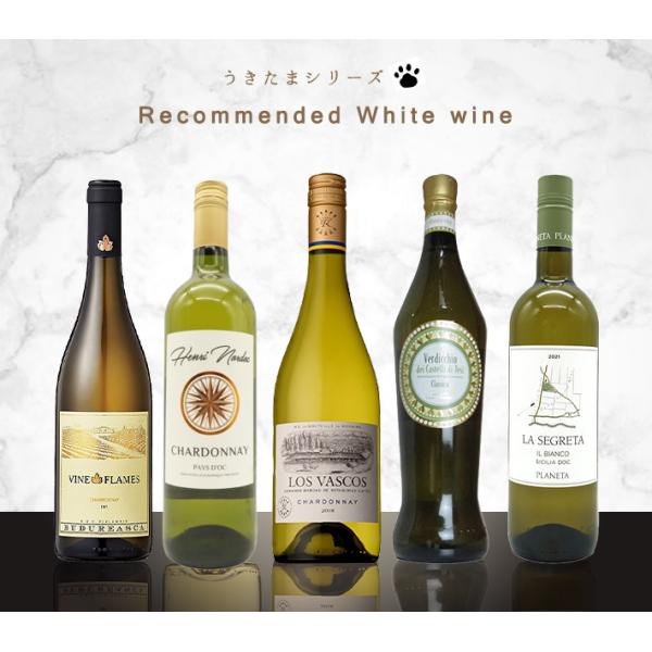 【送料無料】うきたまシリーズ 超おすすめ世界の白ワイン5本セット (白ワイン ワインセット)