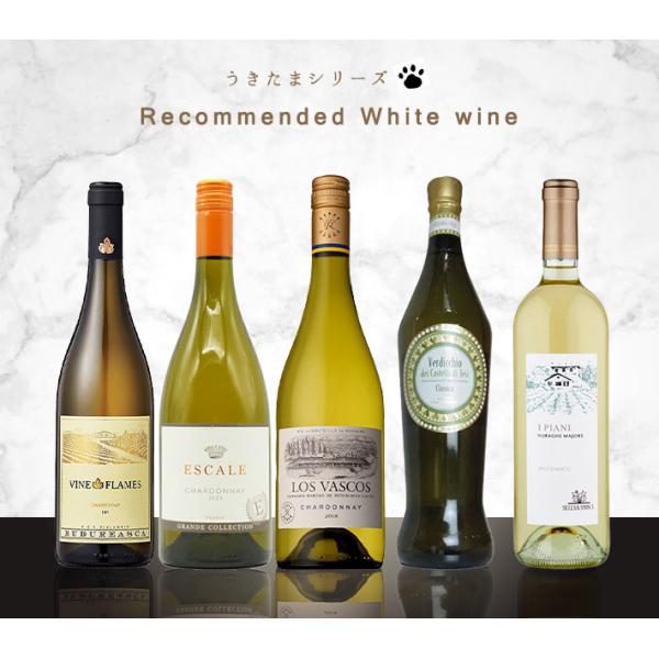 【送料無料】うきたまシリーズ 超おすすめ世界の白ワイン5本セット (白ワイン ワインセット)