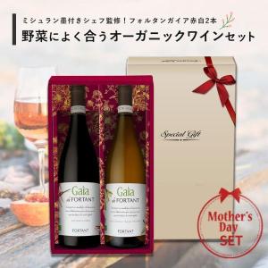 マンズワイン 甲州 酵母の泡 セック 720ml 山梨県産甲州種100% 日本