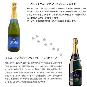 【送料無料】うきたまシリーズ スパークリング1...の詳細画像5