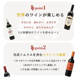 【送料無料】ワインセット 1本 たったの710...の詳細画像3