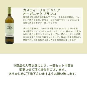 【送料無料】当店厳選!世界の白ワインが味わえる...の詳細画像5