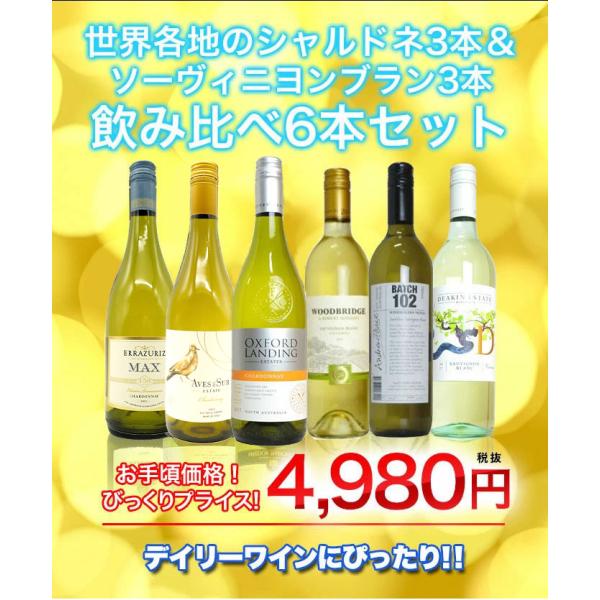 ワインセット 世界各地のシャルドネ＆ソーヴィニヨン・ブラン飲み比べ白ワイン6本セット 家飲み 巣ごも...