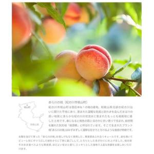 和歌のめぐみ プレミアム桃酒 720ml 化粧...の詳細画像3