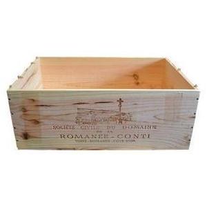 コンティの木 コンティの木