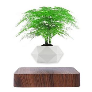 面白いプレゼント 花瓶 フラワースタンド の商品一覧 インテリア雑貨 家具 インテリア 通販 Yahoo ショッピング