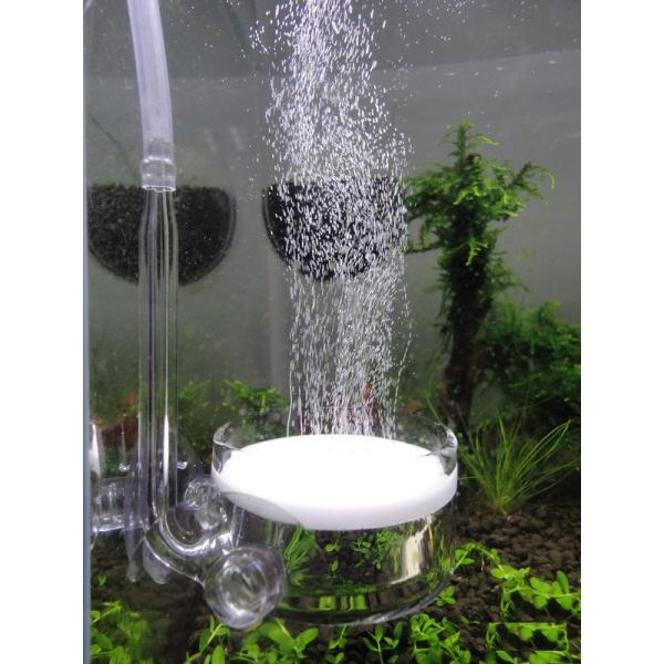 ディフューザー CO2拡散器・ビートル風 ガラス製 (直径５センチ - 120〜180cmサイズの水...