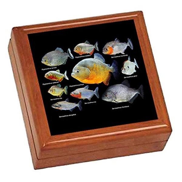 ピラニアたちの写真タイル付き小物入れ（Jewelry Box）（世界の熱帯魚シリーズ）