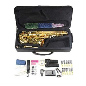 Hilax初心者 入門アルトサックスHAS-703(豪華セット付き)(ゴールド豪華手彫り)(日本語説明書付)