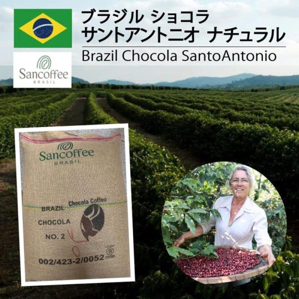 松屋珈琲 コーヒー生豆 ブラジル ショコラ (1kg袋)
