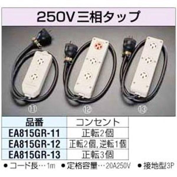 エスコ AC250V/20Ax1.0m三相タップ(正転2口/接地3 EA815GR-11