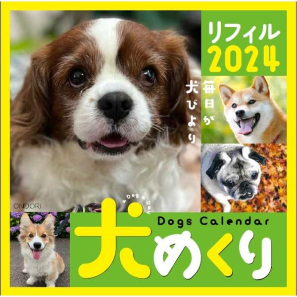 Dogs Calendar 犬めくり リフィル2024: 毎日が犬びより (カレンダー)